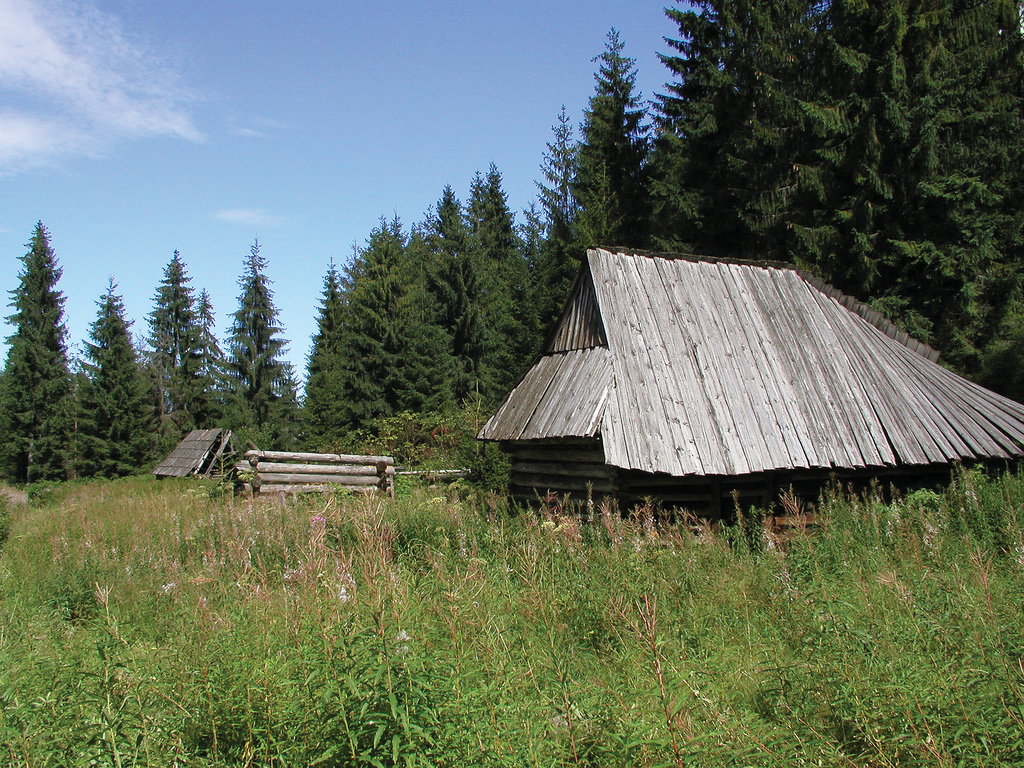 SZAŁASY NA POLANIE PODKÓLNA W JURGOWIE, fot. M. Klag (MIK, 2001) CC BY SA 3.0