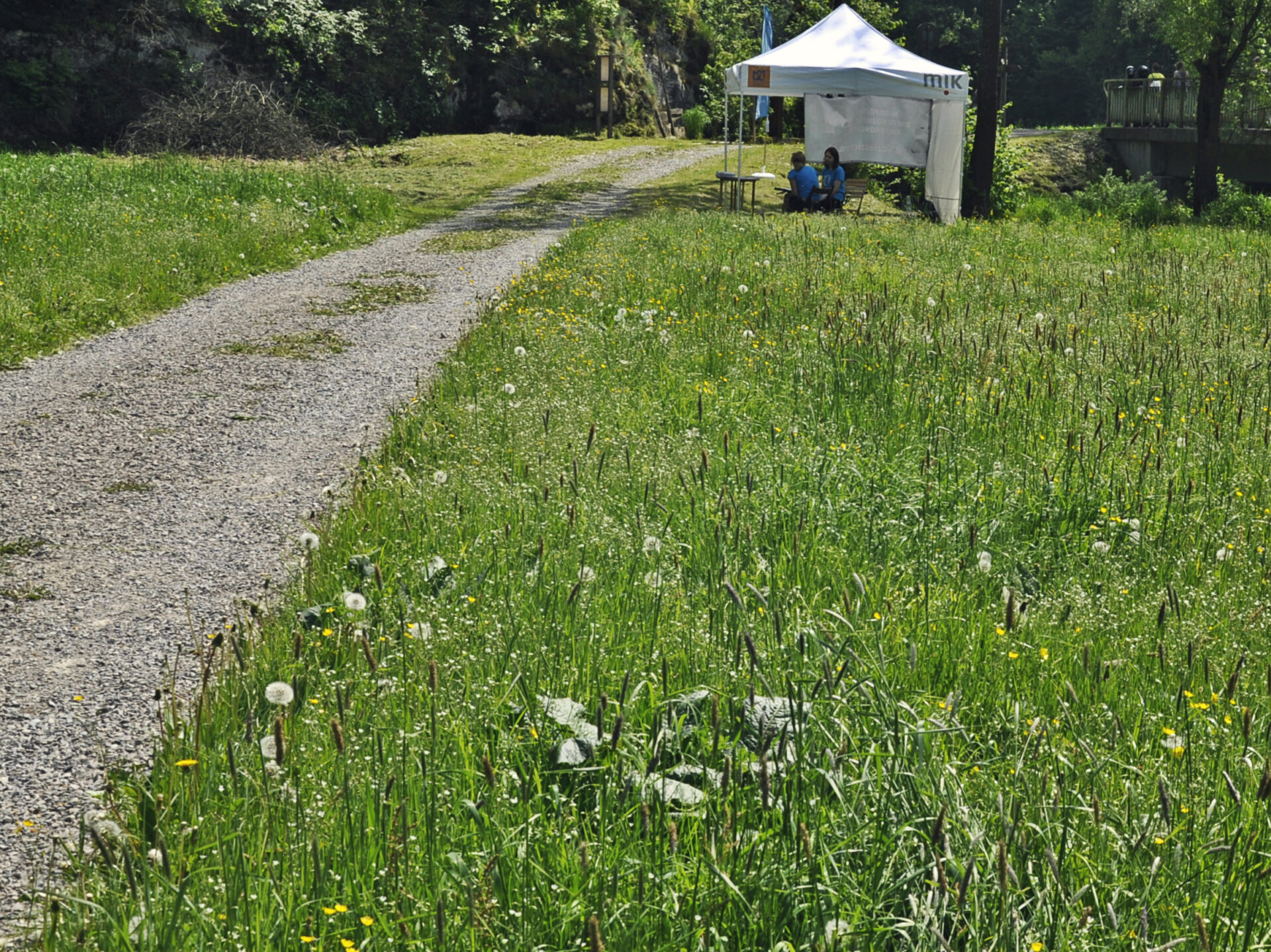 Osada młynarska Bornoniówka w Grodzisku, fot. M. Jałoszyńska (MIK, 2016) CC BY NC ND