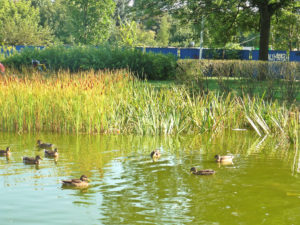 Park Zaczarowanej Dorożki na Prądniku, fot. P. Kasprzycka (MIK, 2016), CC BY SA 3.0
